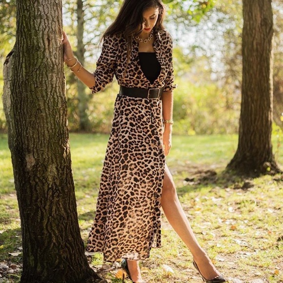 NWT Zara Animal Print Dress - Picture 2 of 8